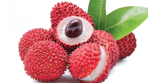নবীনগরে গলায় লিচুর বিচি আটকে শিশুর মৃত্যু