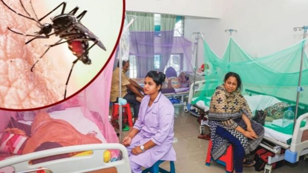 ডেঙ্গুতে আরো ৪ মৃত্যু, হাসপাতালে ভর্তি ৭৮১